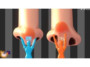 NINTENDO WarioWare Move It!