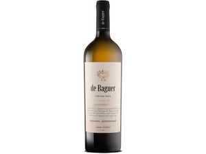 KLET BRDA vino Chardonnay - Sauvignon Blanc de Baguer 2019  0,75 l