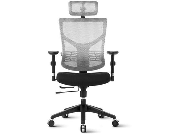 ERGOVISION pisarniški stol Essent 01