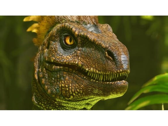 STUDIO WILDCARD ARK: Survival Ascended