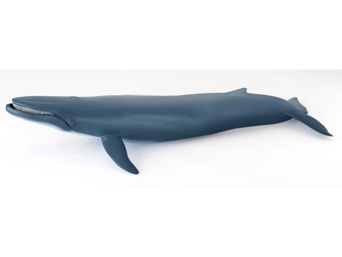 PAPO figura morske živali  Modri kit