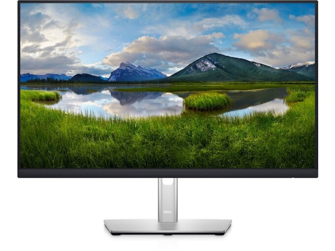 DELL LED monitor P2422H, 23,8 inch