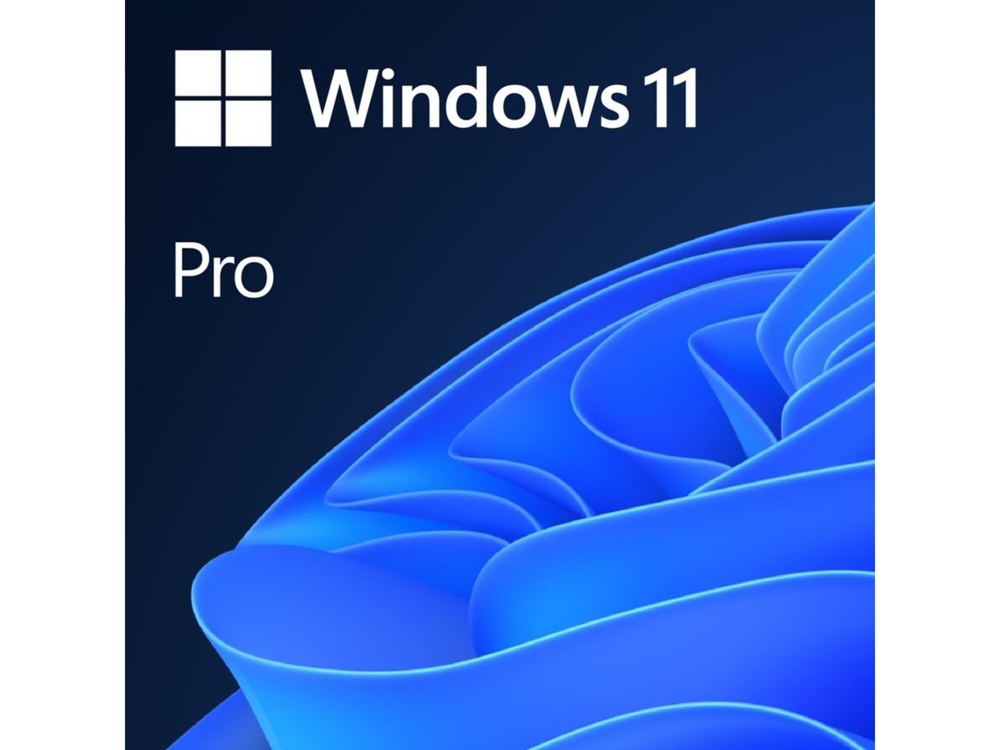 Microsoft Microsoft Windows Pro 11 DSP/OEM slovenski, DVD FQC-10551