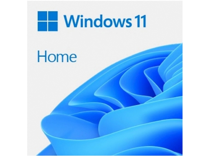 MICROSOFT Windows Home 11 FPP angleški, USB HAJ-00090