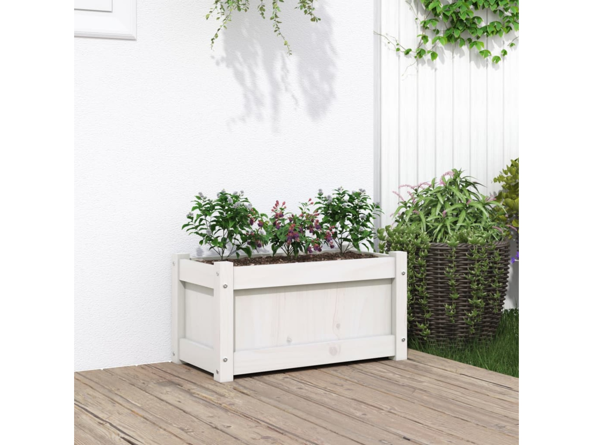 VIDAXL Vrtno cvetlično korito belo 60x31x31 cm trdna borovina