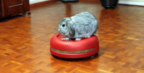 Paragraph_Image_Blog_Cat_01_Post_19 Paragraph_Image_Blog_Cat_01_Post_19